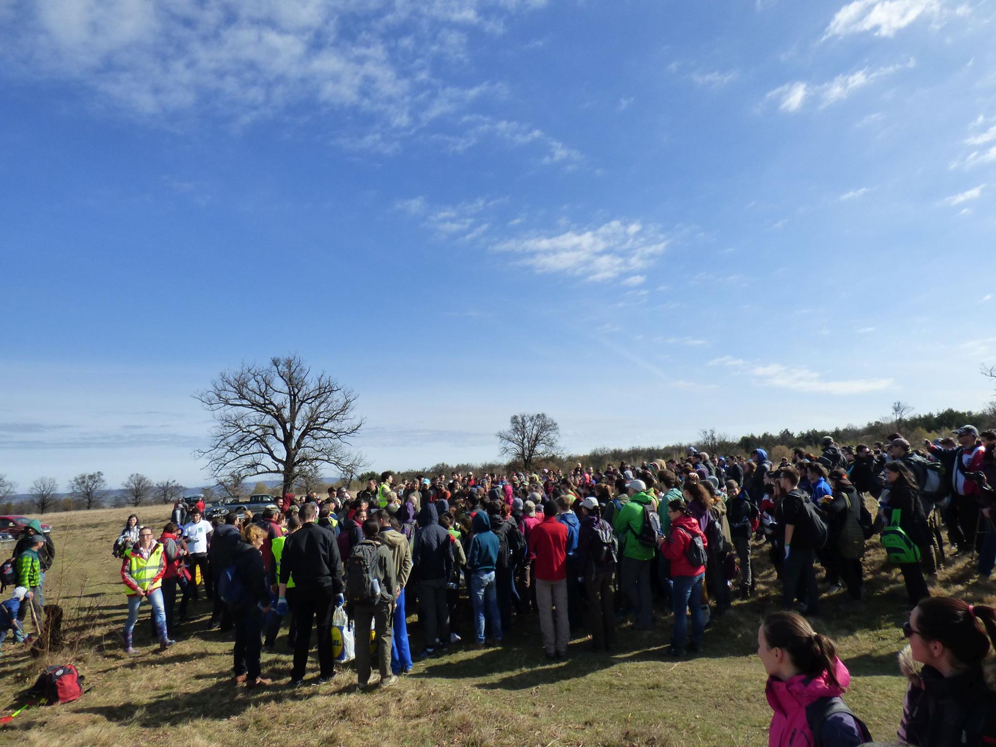 Arpasu 2016 Preview 3